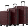 Coolife Medium Checked Luggage Hardside Suitcase with Spinner Wheels, 24in | Lightweight ABS+PC, Rolling Travel Suitcase with TSA Lock, Spinner Wheels, Durable Zipper, Charcoal(Wine Red2.0)