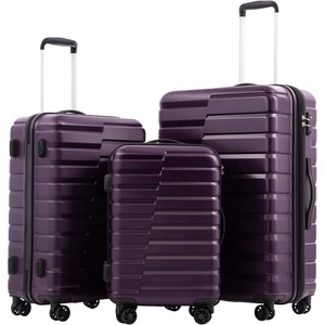 Coolife Lightweight Luggage with TSA Lock,Medium Checked Gray | Durable Hard Shell Suitcase for Travel,360° Smooth-Rolling Dual Spinner Wheels(Purple)